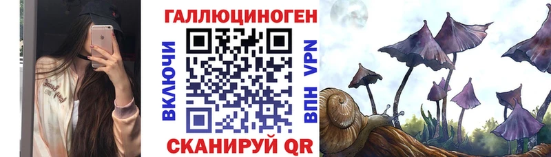 дарнет шоп  Усть-Катав  Псилоцибиновые грибы мухоморы 